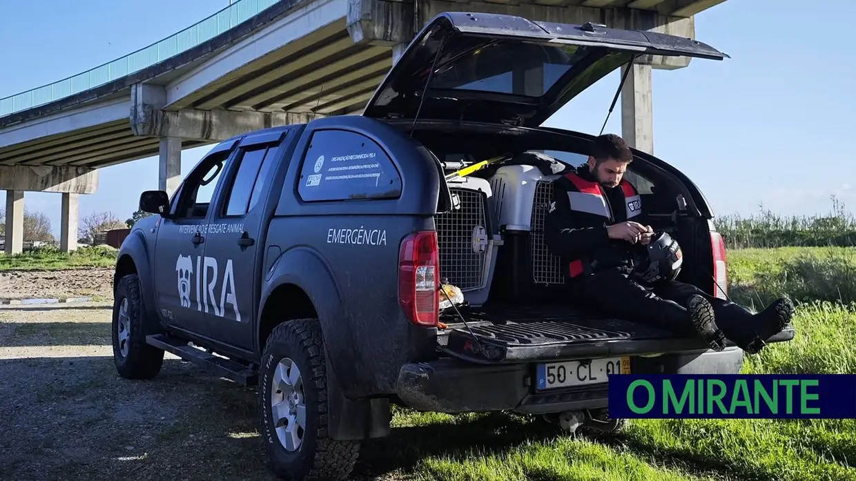 Dezenas de animais morreram em Azambuja isolados pelas cheias