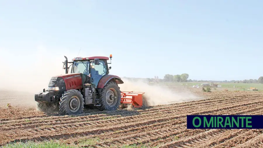 Agricultores já podem declarar prejuízos provocados pelo mau tempo