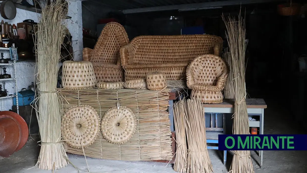 Artur Fonseca tem 80 anos e um sonho por cumprir: abrir um museu rural em Santarém