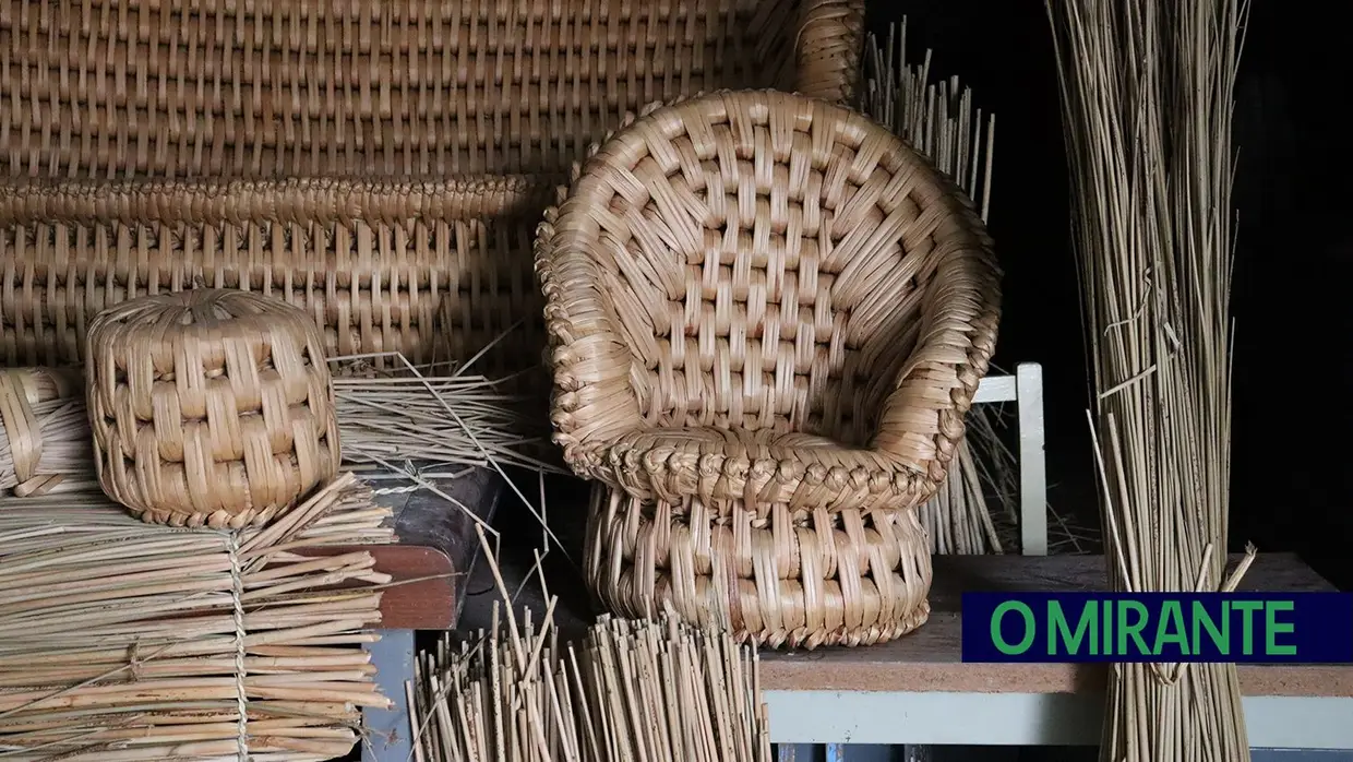 Artur Fonseca tem 80 anos e um sonho por cumprir: abrir um museu rural em Santarém