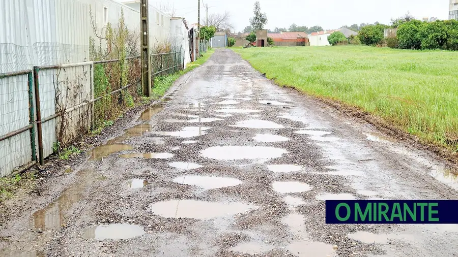 Rua dos Álamos - Samora Correia