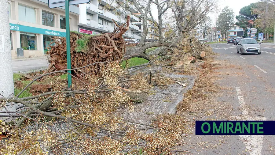 Oposição diz que nem tudo correu bem na resposta à tempestade em Tomar