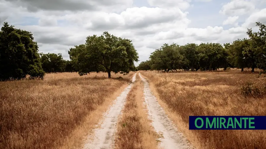 Companhia das Lezírias integra FSC Portugal e reforça liderança na gestão florestal