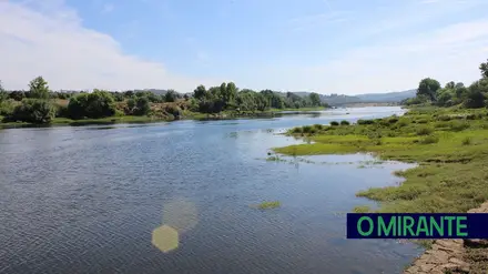 Tejo desce lentamente e avançam trabalhos de limpeza e recuperação