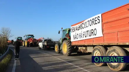 Veículos com o triplo do peso atravessam pontes fragilizadas no Vale do Tejo