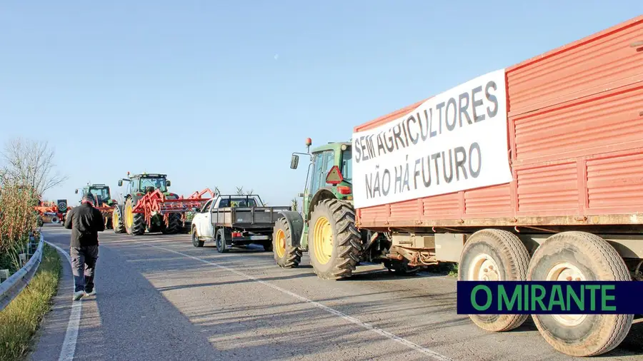 Veículos com o triplo do peso permitido atravessam pontes fragilizadas no Ribatejo