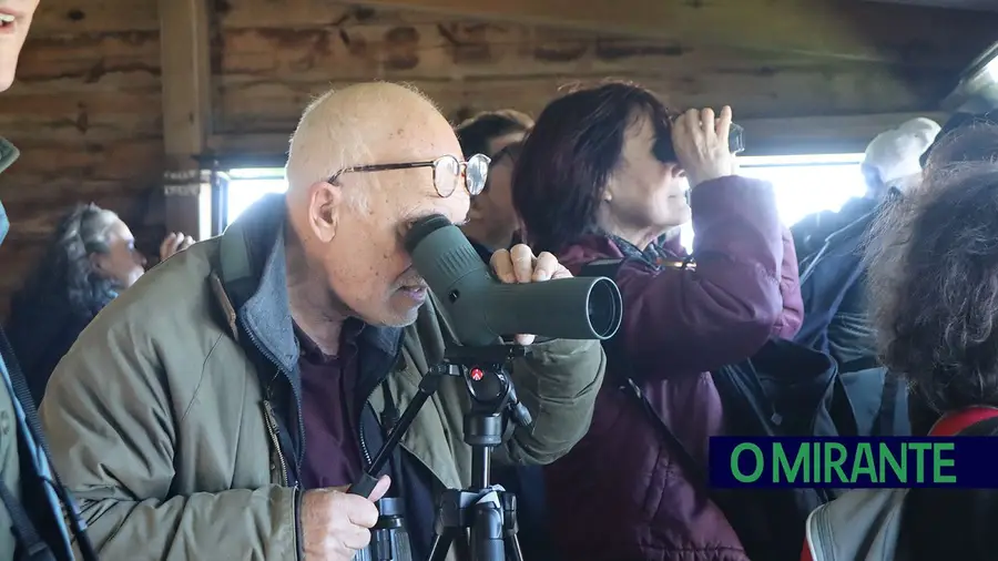 EVOA é um património natural em VFX que não se pode afundar