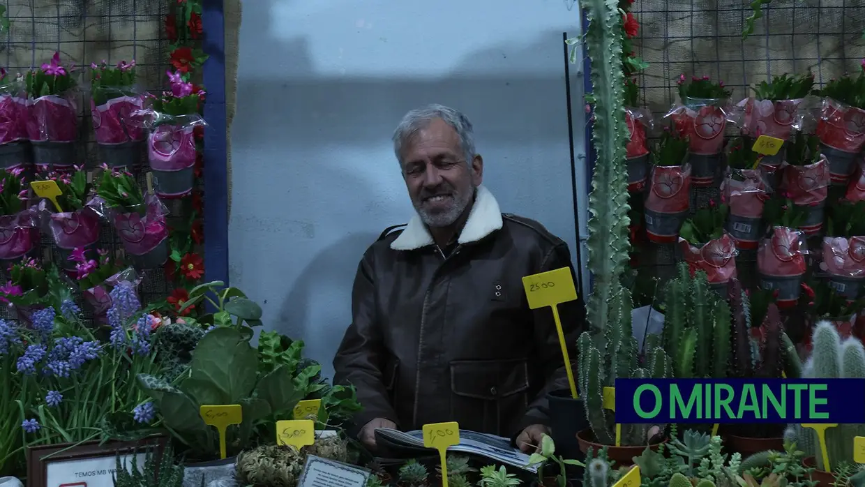 Parreira com três dias de festa volta a ser capital do cogumelo