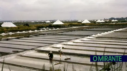 Exposição em Rio Maior sobre as salinas de Aveiro