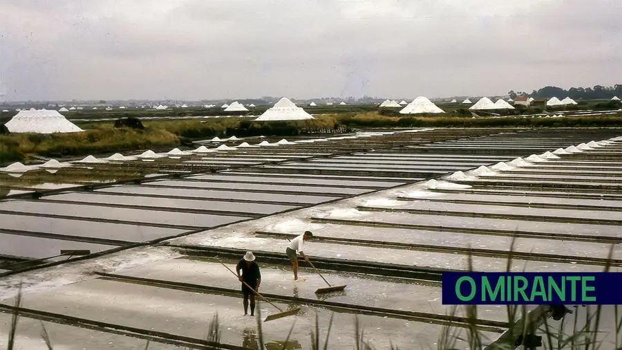 Exposição em Rio Maior sobre as salinas de Aveiro
