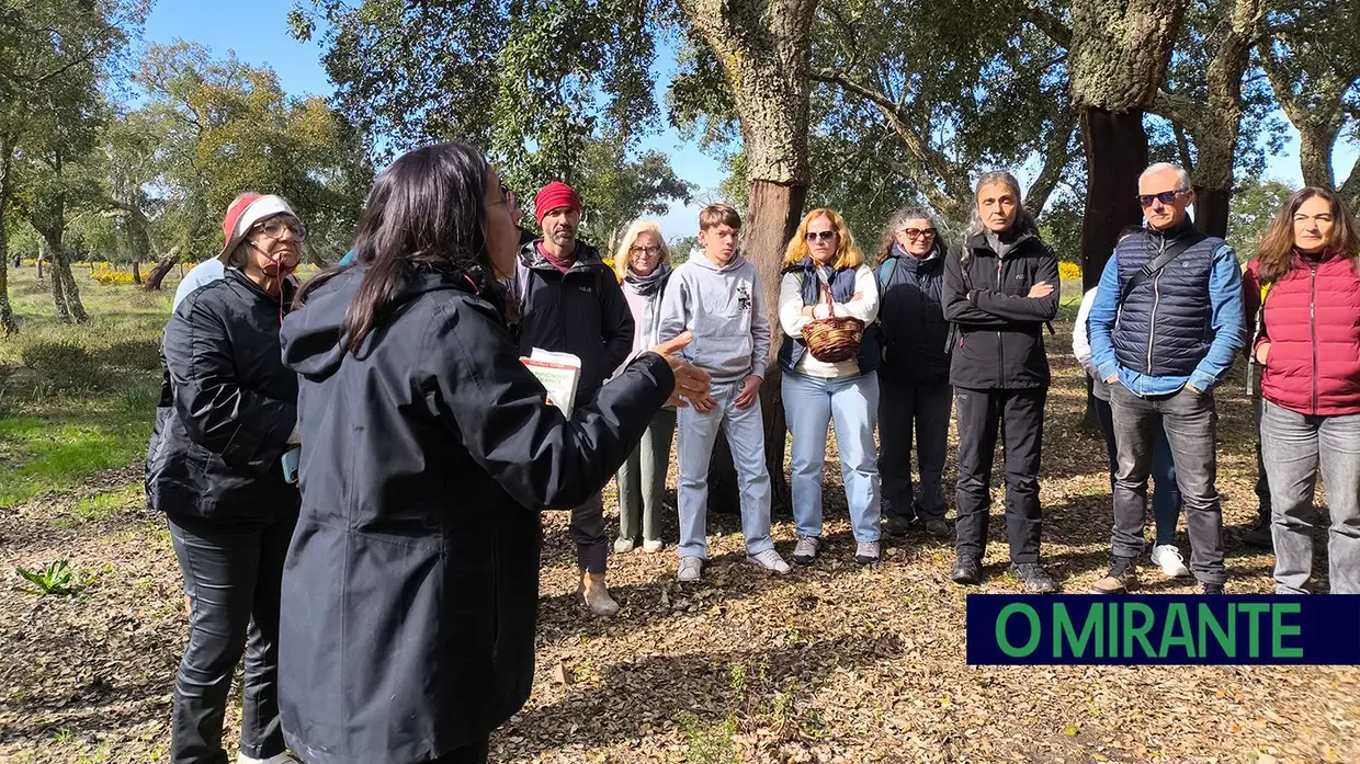 Passeio Micológico do Festival do Cogumelo na Parreira