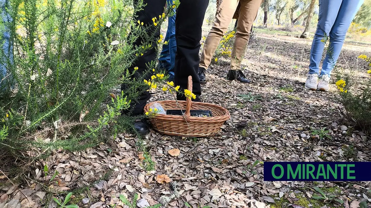 Passeio Micológico do Festival do Cogumelo na Parreira