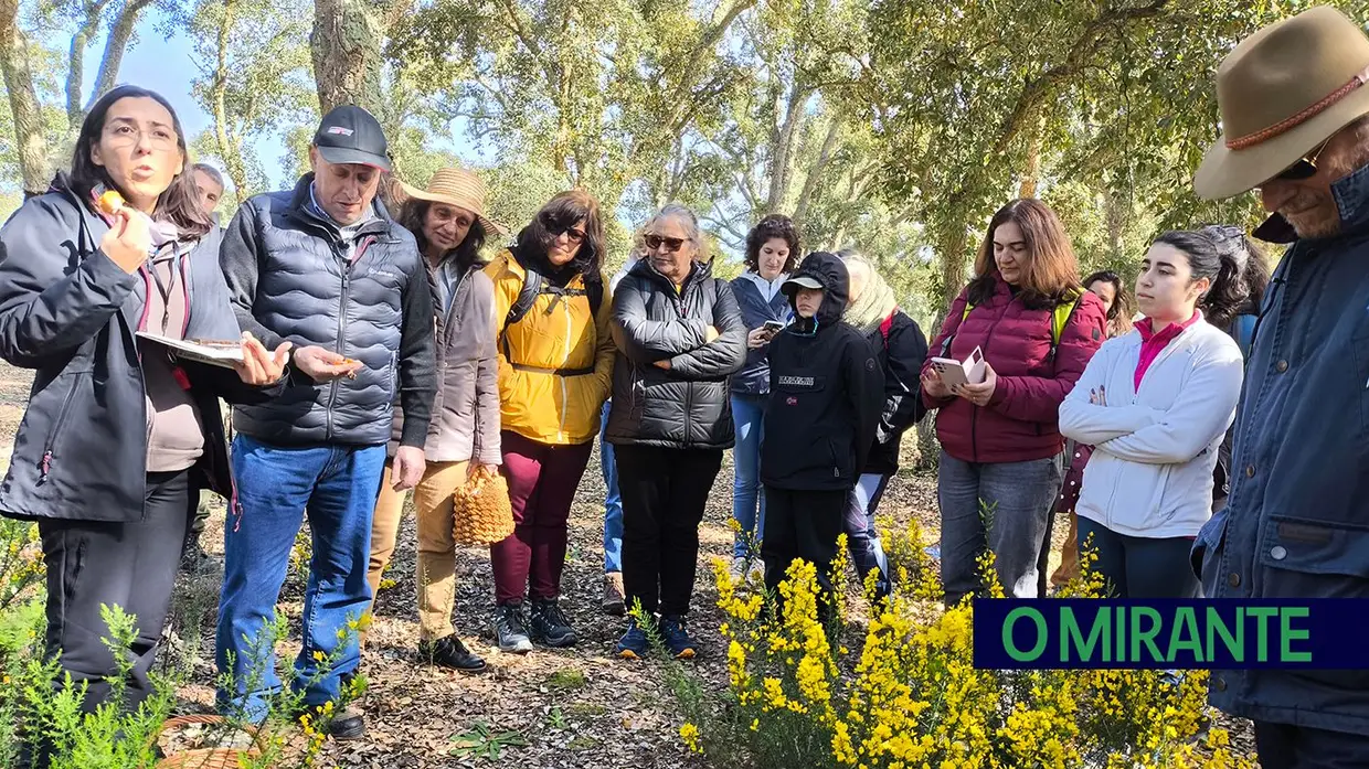 Passeio Micológico do Festival do Cogumelo na Parreira