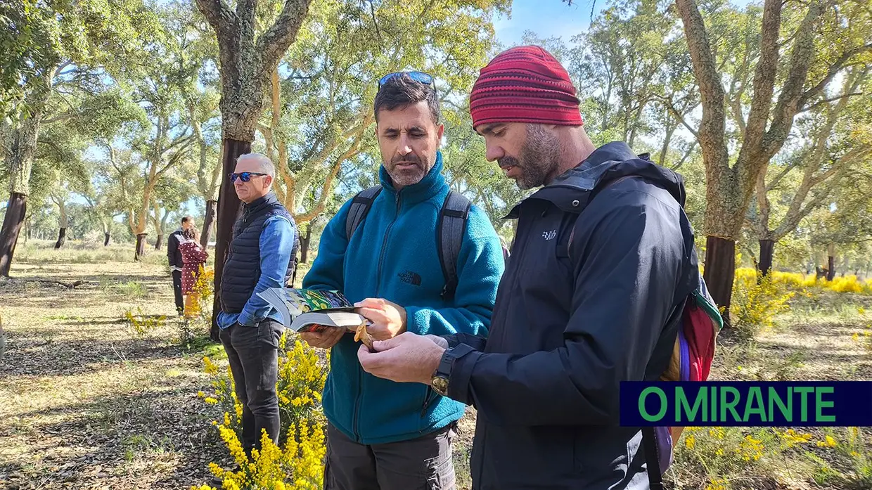Passeio Micológico do Festival do Cogumelo na Parreira