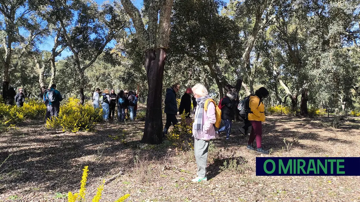 Passeio Micológico do Festival do Cogumelo na Parreira