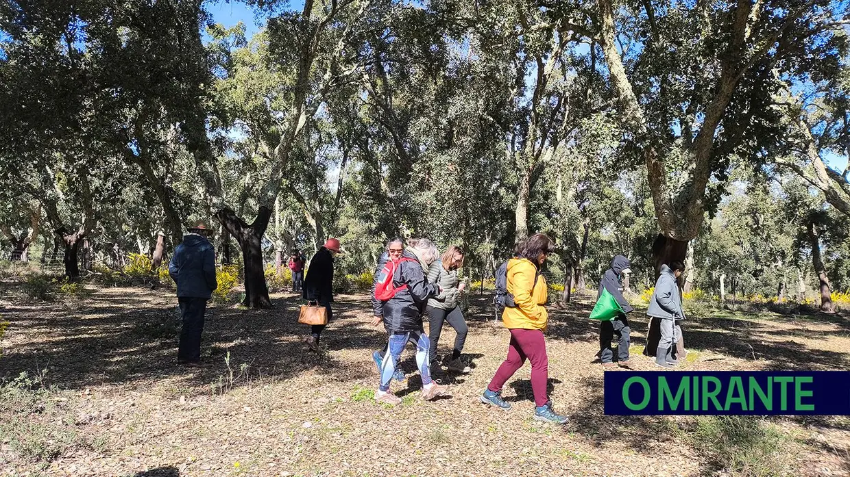 Passeio Micológico do Festival do Cogumelo na Parreira