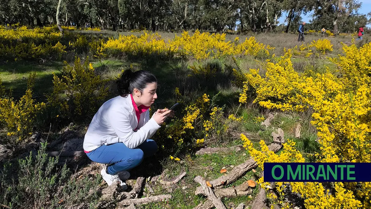Passeio Micológico do Festival do Cogumelo na Parreira