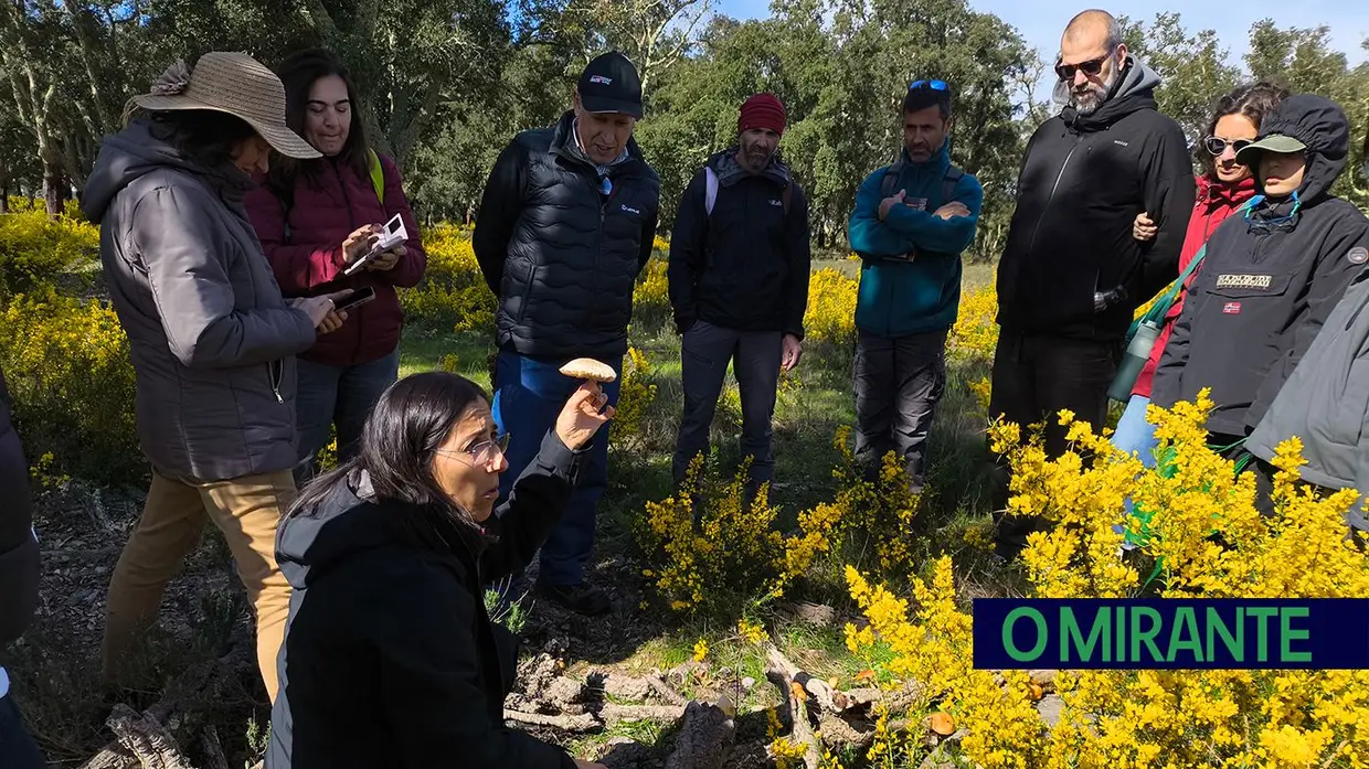 Passeio Micológico do Festival do Cogumelo na Parreira