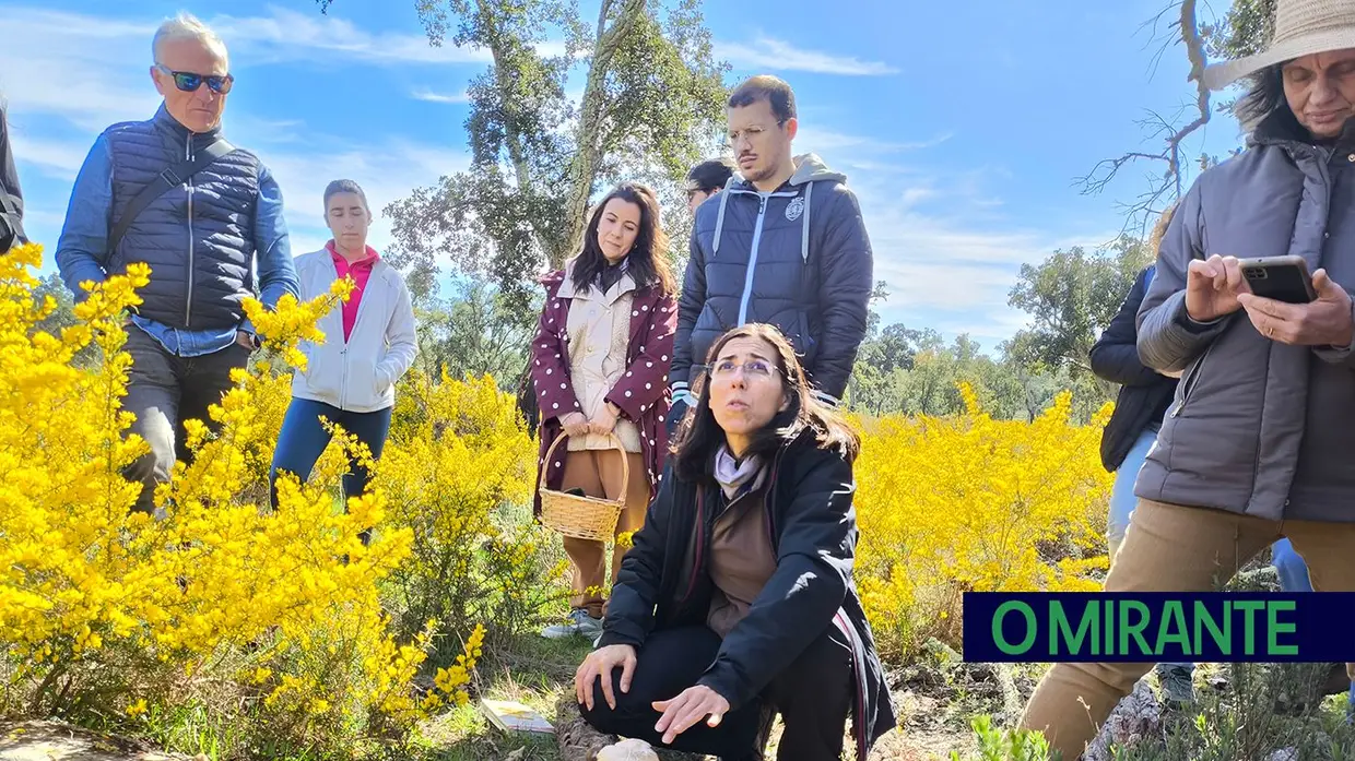 Passeio Micológico do Festival do Cogumelo na Parreira