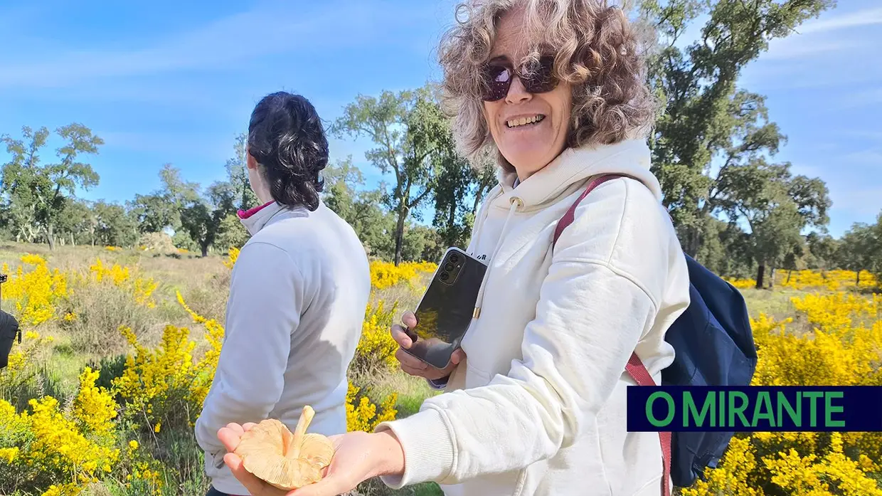 Passeio Micológico do Festival do Cogumelo na Parreira