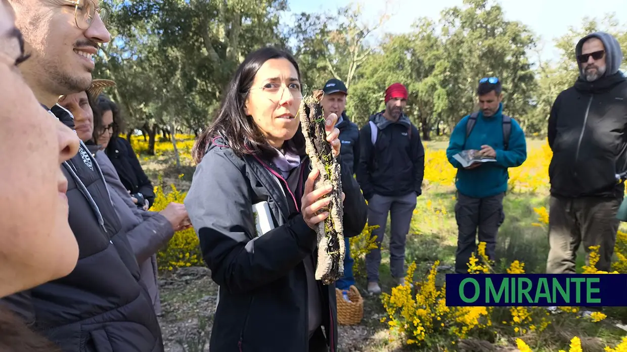 Passeio Micológico do Festival do Cogumelo na Parreira