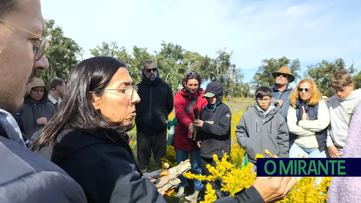 Passeio Micológico do Festival do Cogumelo na Parreira