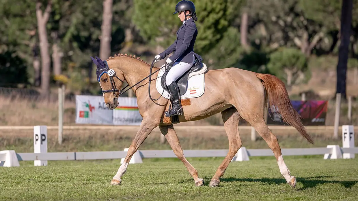 Spring Tour reúne cavaleiros internacionais na Mata do Duque