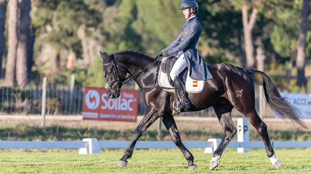 Spring Tour reúne cavaleiros internacionais na Mata do Duque