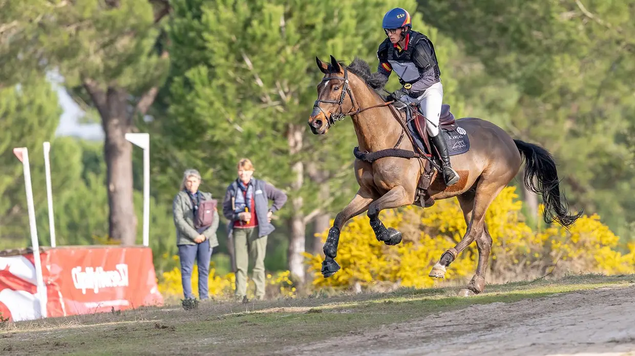 Spring Tour reúne cavaleiros internacionais na Mata do Duque
