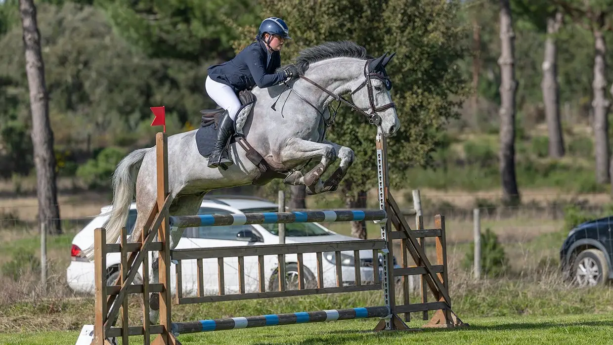 Spring Tour reúne cavaleiros internacionais na Mata do Duque