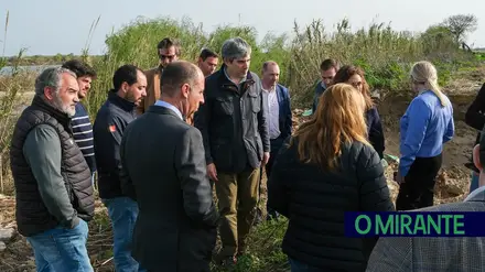 Agricultores e empresários do Cartaxo já podem declarar prejuízos para aceder a medidas de apoio