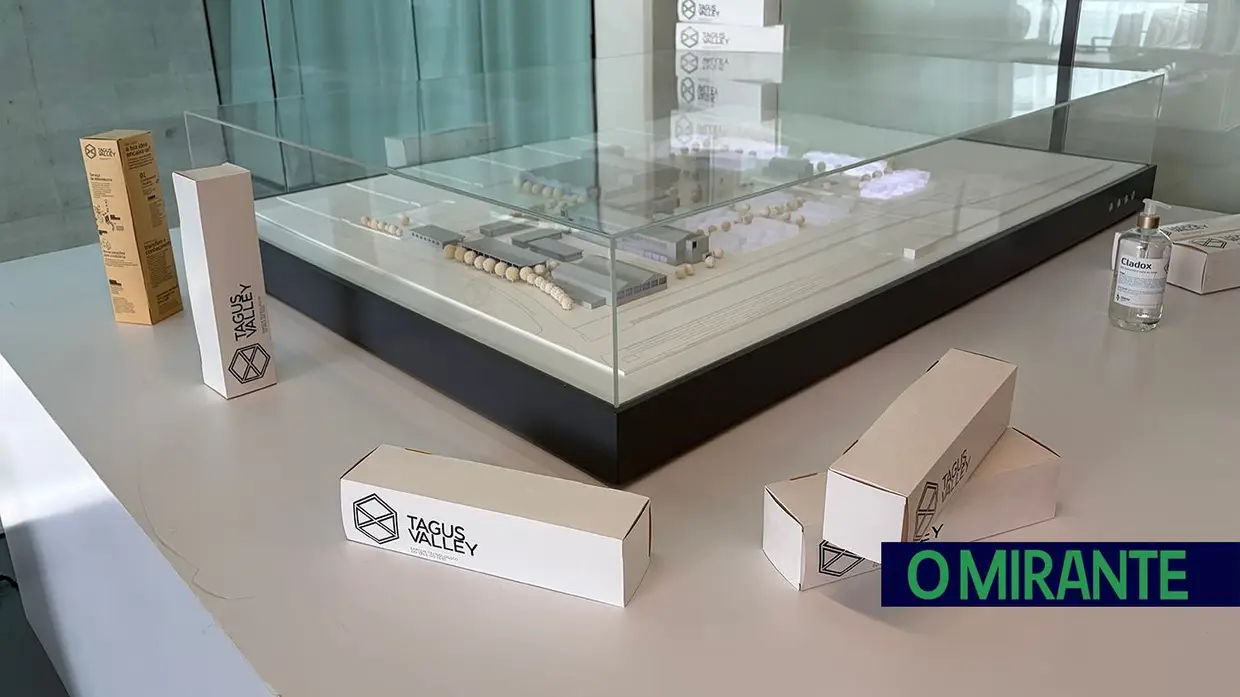 Projeto ESG Agrifood quer ajudar PME agroalimentares a responder às exigências da sustentabilidade