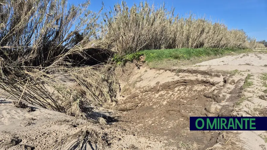 Rasto de destruição nos campos lezíria após descargas das barragens