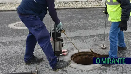 Combate a pragas a decorrer no concelho de Torres Novas