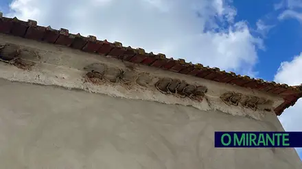 Cidadã denuncia destruição de ninhos de andorinhas em Alqueidão do Mato