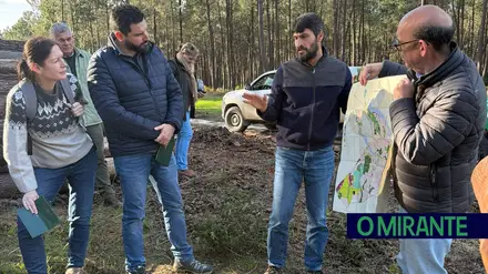 Companhia das Lezírias mostra a peritos europeus estratégia de combate à murchidão do pinheiro
