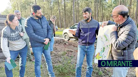 Peritos europeus na Companhia das Lezírias para avaliar combate à ‘Murchidão do Pinheiro’