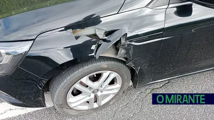 Animal à solta na EN118 em Benavente causou danos em automóvel
