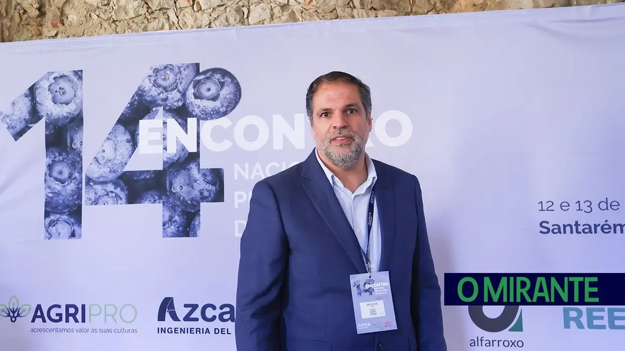 Produtores de mirtilo reuniram-se em Santarém para debater desafios do sector