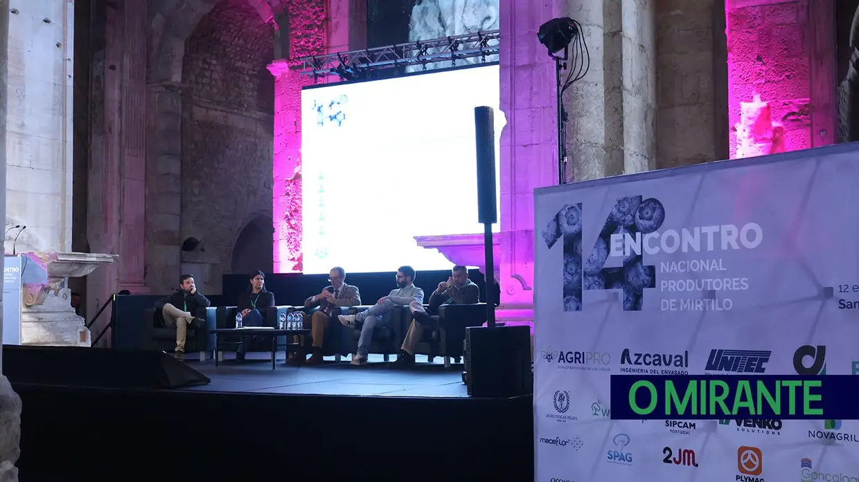 Produtores de mirtilo reuniram-se em Santarém para debater desafios do sector