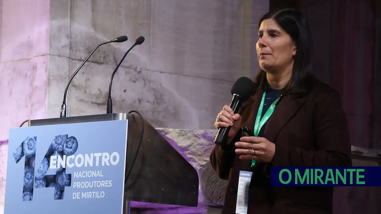 Produtores de mirtilo reuniram-se em Santarém para debater desafios do sector