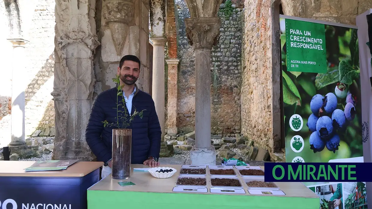 Produtores de mirtilo reuniram-se em Santarém para debater desafios do sector