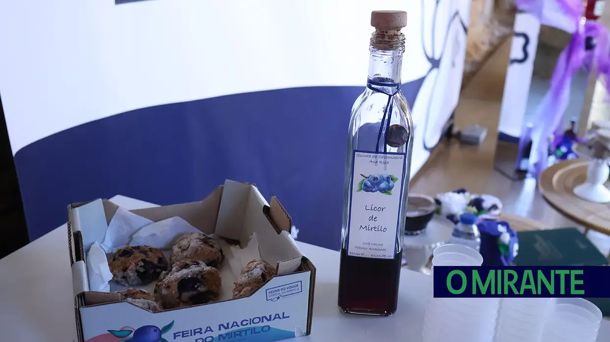 Produtores de mirtilo reuniram-se em Santarém para debater desafios do sector