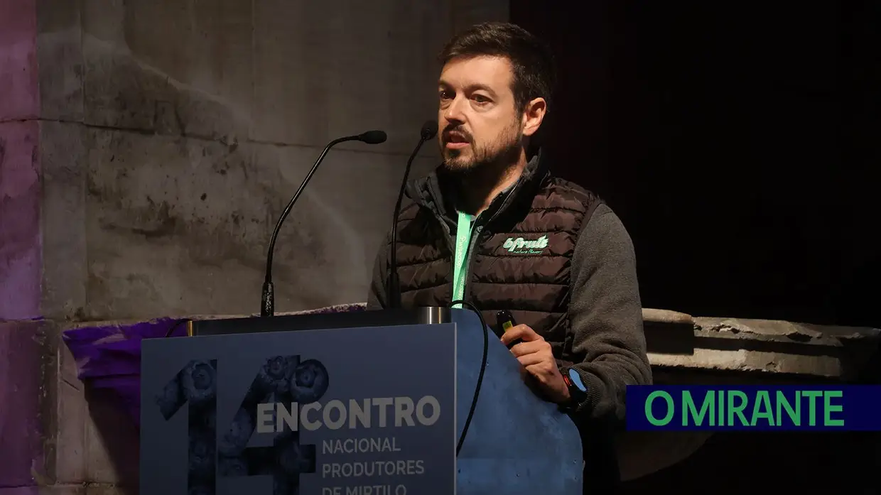 Produtores de mirtilo reuniram-se em Santarém para debater desafios do sector