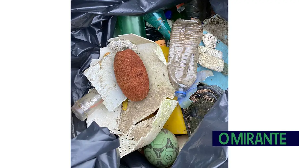 Voluntários limparam margens do Tejo na Póvoa de Santa Iria