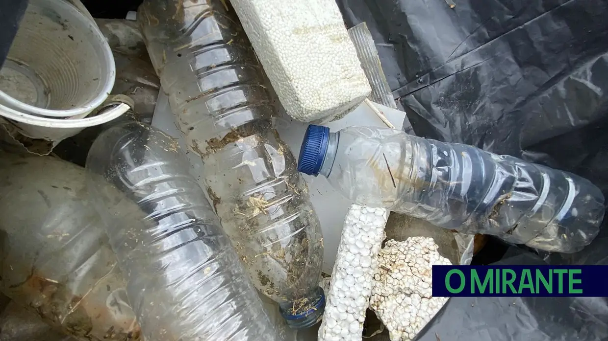 Voluntários limparam margens do Tejo na Póvoa de Santa Iria