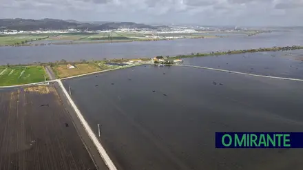Cheias na Lezíria Grande de VFX causaram prejuízos de 3,5 milhões de euros