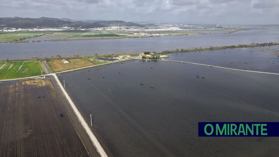 Cheias na Lezíria Grande de VFX causaram prejuízos de 3,5 milhões de euros