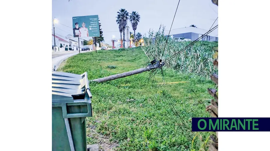 Têm lucros de milhões mas falta-lhes vergonha