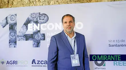 Santarém e Almeirim juntaram sector do mirtilo que já vale quase 3000 hectares em Portugal